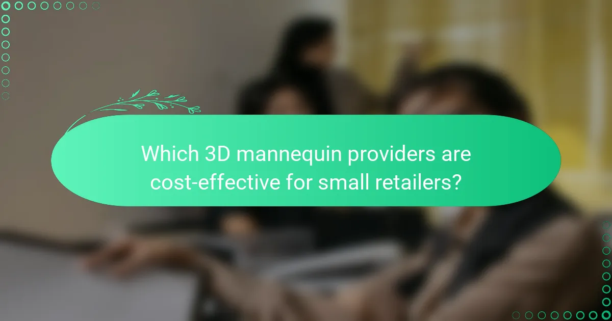 Which 3D mannequin providers are cost-effective for small retailers?